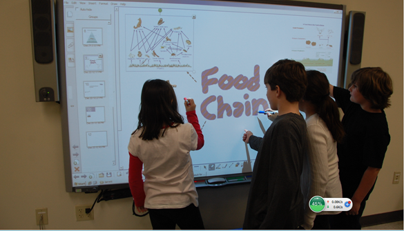 Interactive Whiteboards in the Educational Environment